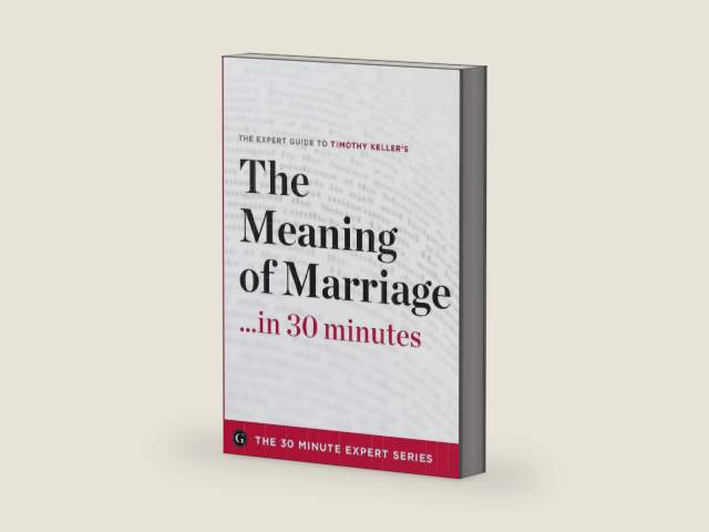 The Meaning of Marriage in 30 Minutes: The Expert Guide to Timothy Keller's Critically Acclaimed Book (30 Minute Expert) by Garamond Press