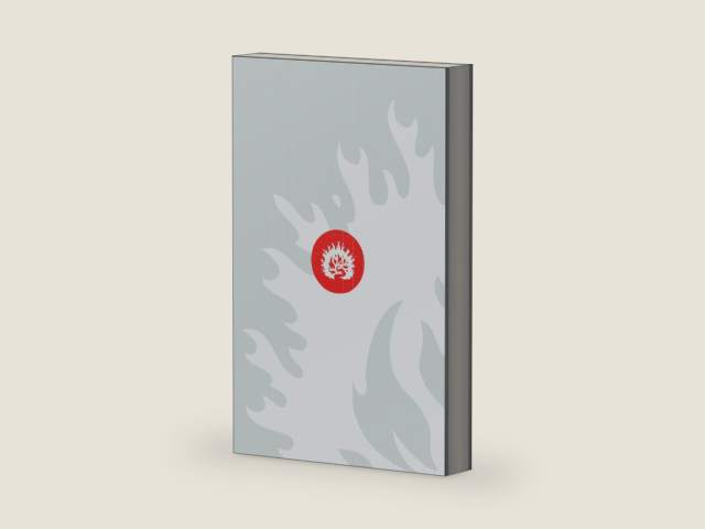 ESV Reformation Study Bible, Student Edition - Gray, Paperback by R.C. Sproul