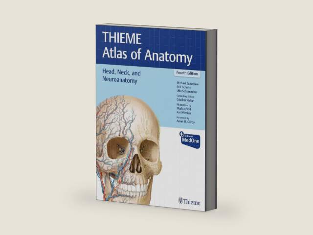 Head, Neck, and Neuroanatomy (THIEME Atlas of Anatomy) by Michael Schuenke