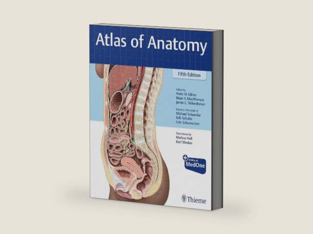 Atlas of Anatomy by Anne M Gilroy