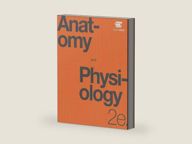 Anatomy and Physiology 2e by OpenStax (Official Print Version, paperback version, B&W), pack of 1 and 2 by Betts et al