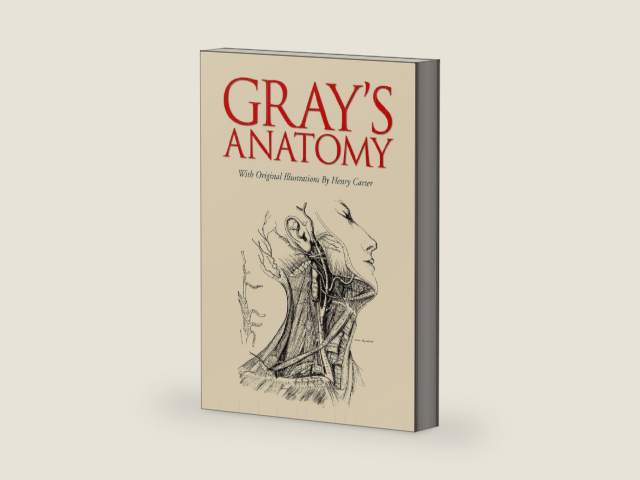 Gray's Anatomy by Henry Gray