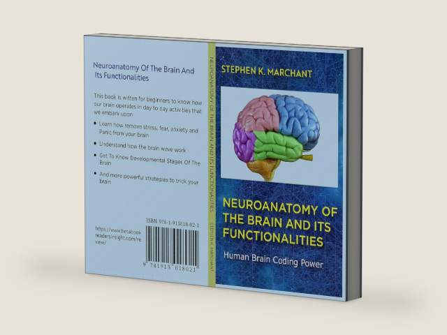 Neuroanatomy of The Brain and its Functionalities by Stephen.K. Marchant