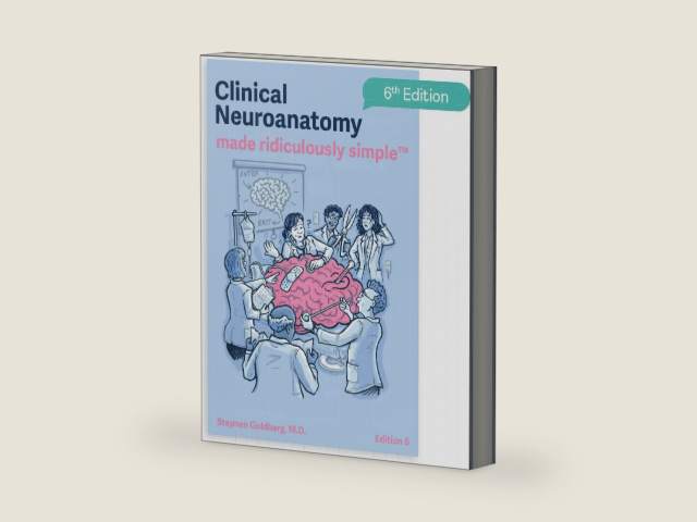 Clinical Neuroanatomy Made Ridiculously Simple: Color Edition by Stephen Goldberg M.D.