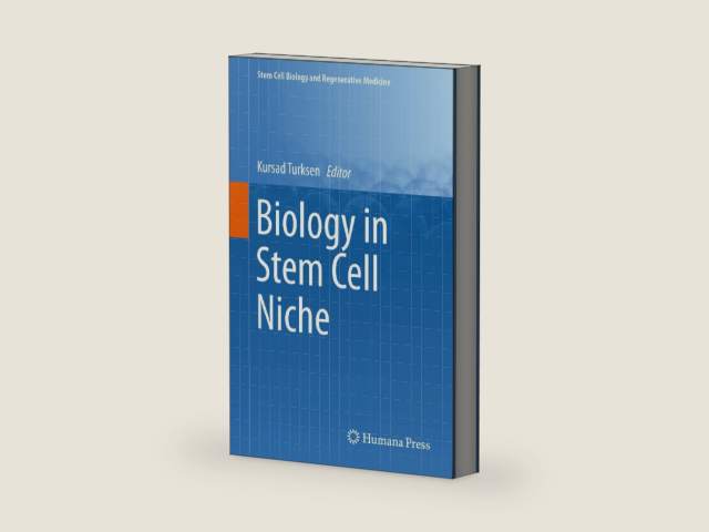 Biology in Stem Cell Niche (Stem Cell Biology and Regenerative Medicine) by Kursad Turksen