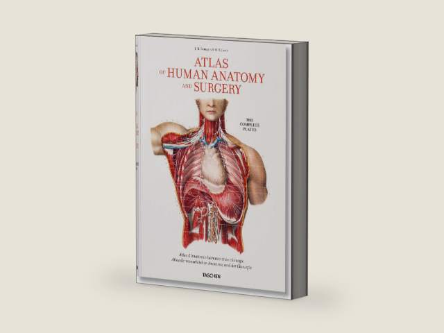 Bourgery. Atlas of Human Anatomy and Surgery (Multilingual Edition) by J. M. Bourgery