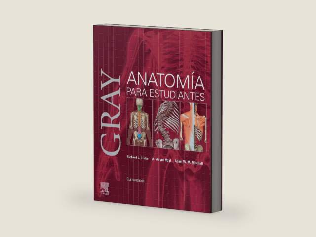 Gray. Anatomía para estudiantes (Spanish Edition) by Richard L. Drake