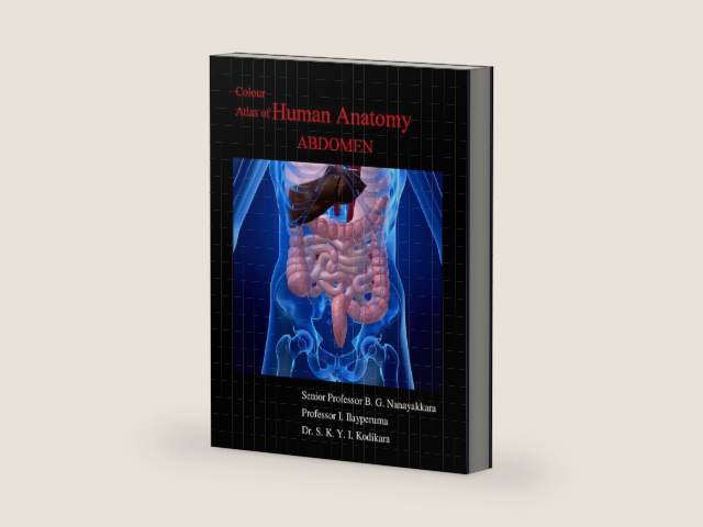 Colour Atlas of Human Anatomy - Abdomen by Ganananda Nanayakkara