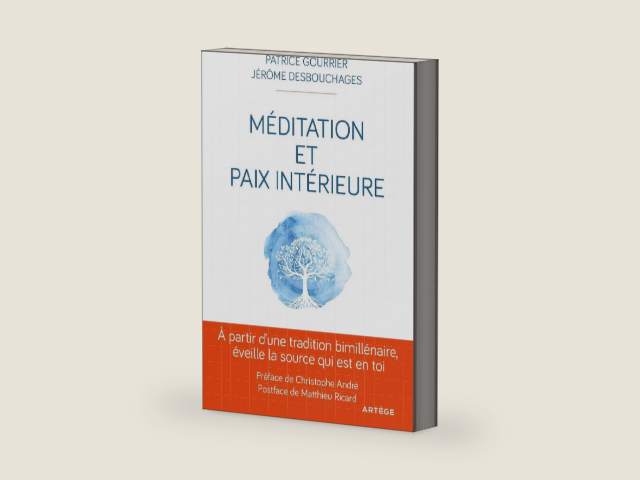 Méditation et paix intérieure: A partir d'une tradition bimillénaire éveille la source qui est en toi (ART.SPIRITUALIT) (French Edition) by Patrice Gourrier