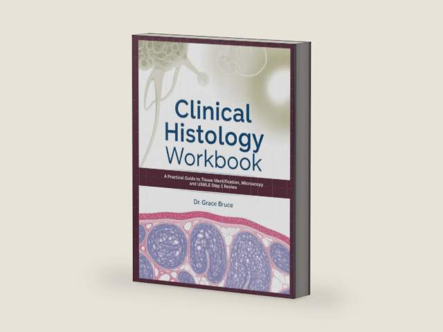 Clinical Histology Workbook: A Practical Guide to Tissue Identification, Microscopy and USMLE Step 1 Review by Dr. Grace Bruce