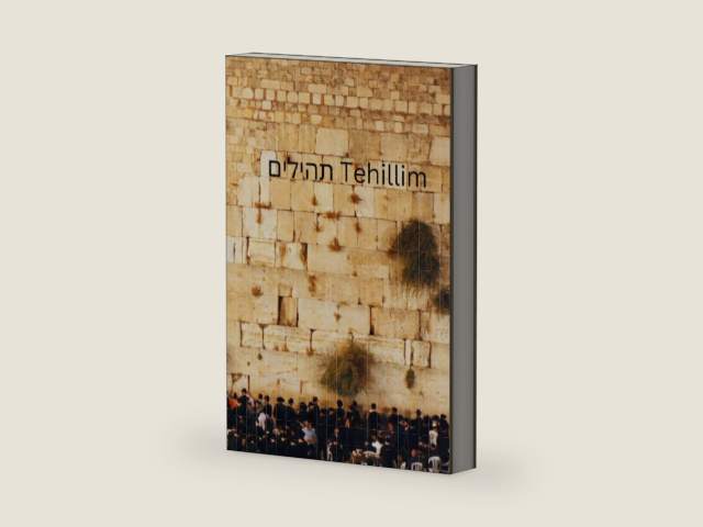 Tehillim תהילים Psalms (Hebrew Edition) by z ritvo