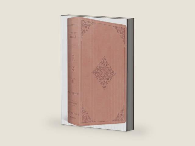 ESV Study Bible (TruTone, Pink, Fleur-de-lis Design): Holy Bible, English Standard Version by ESV Bibles