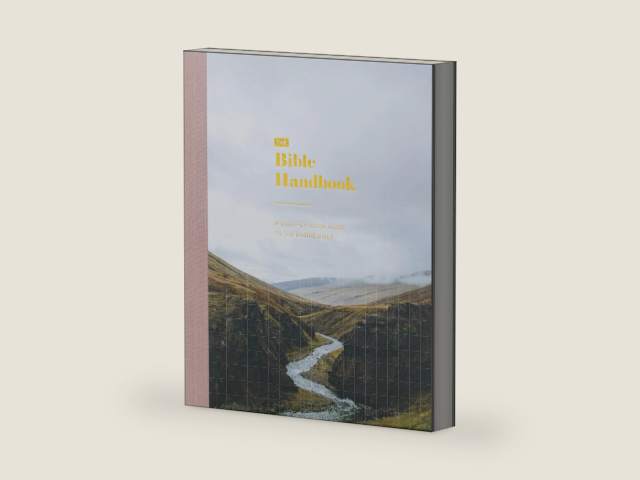 The Bible Handbook: A Book-by-Book Guide to the Entire Bible by The Daily Grace Co.