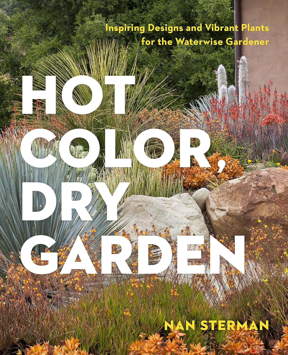 Hot Color, Dry Garden: Inspiring Designs and Vibrant Plants for the Waterwise Gardener by Nan Sterman