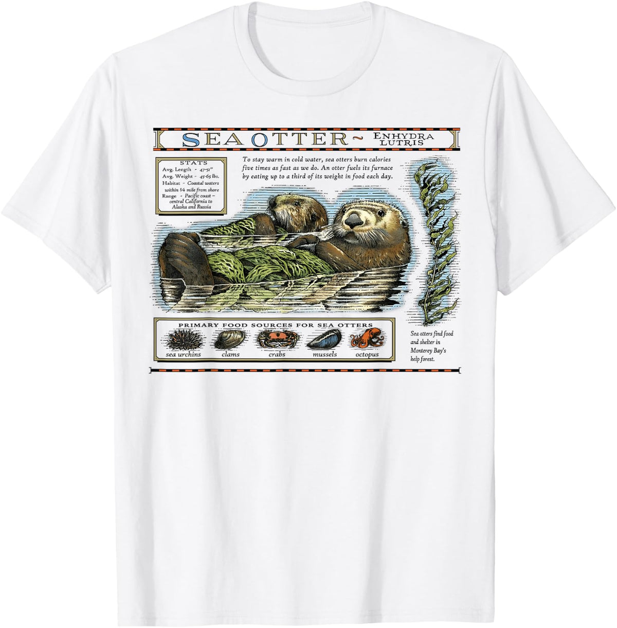 Official Sea Otter Retro Vintage Shirt for Men Women T-Shirt