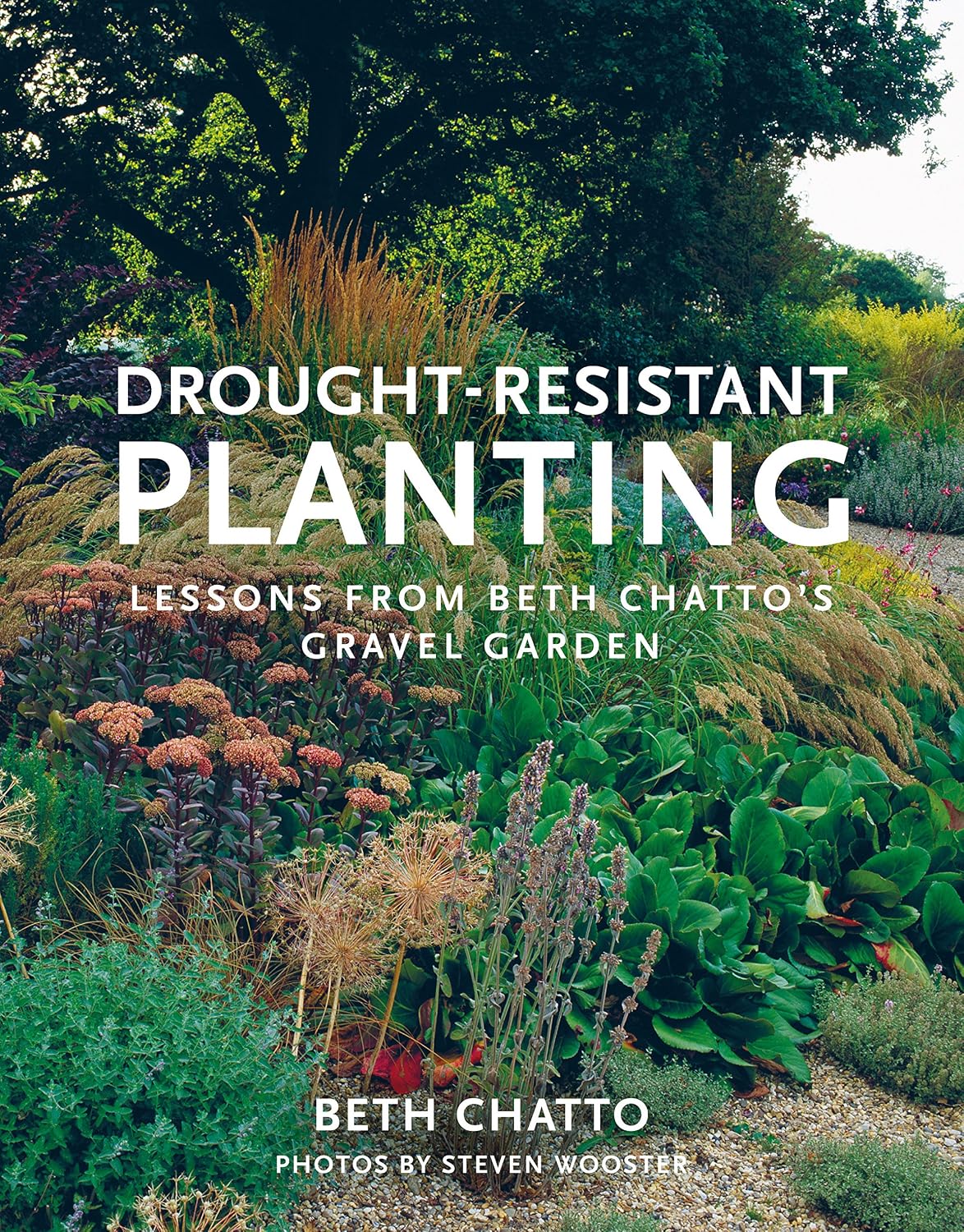 Drought-Resistant Planting: Lessons from Beth Chatto's Gravel Garden by Beth Chatto