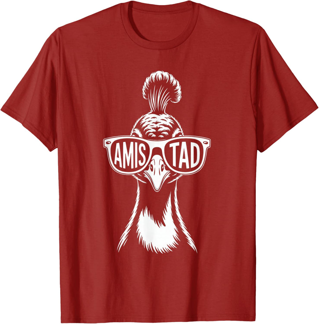 Amistad House of Friendship, School Spirit Teachers Students T-Shirt