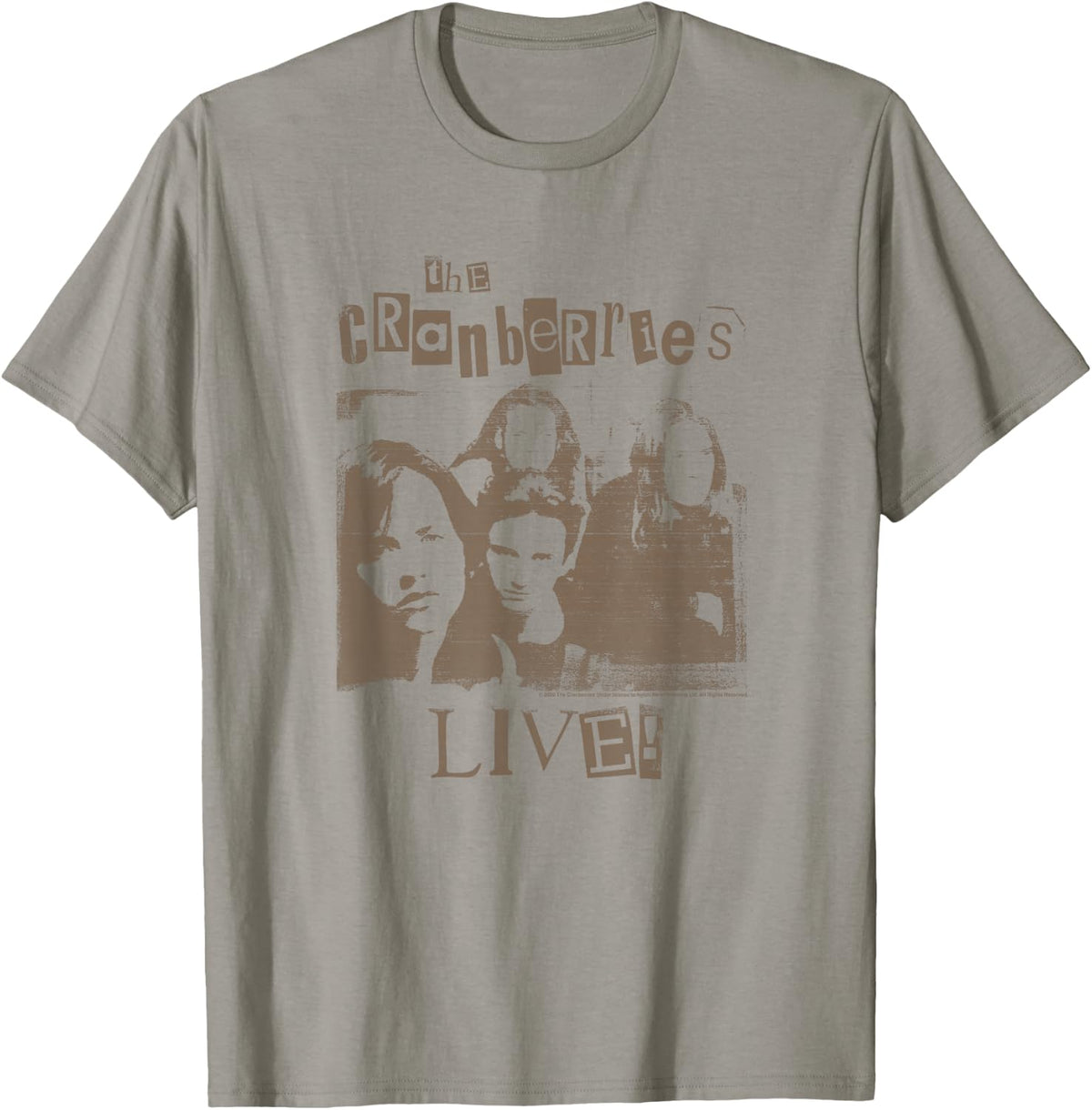 The Cranberries DIY Concert Flyer Distressed Vintage Band T-Shirt