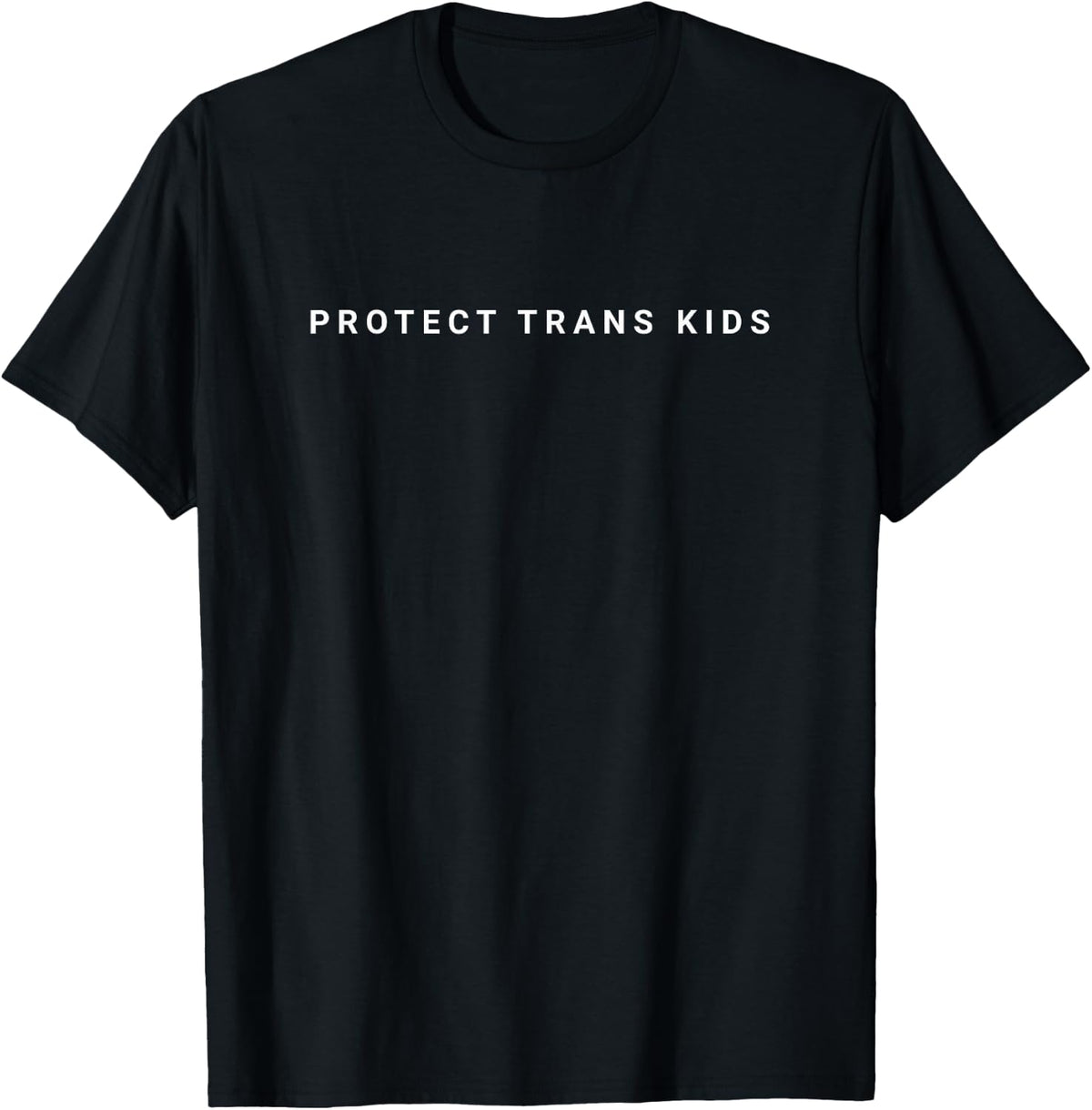 Protect Trans Kids Subtle LGBTQ Support T-Shirt