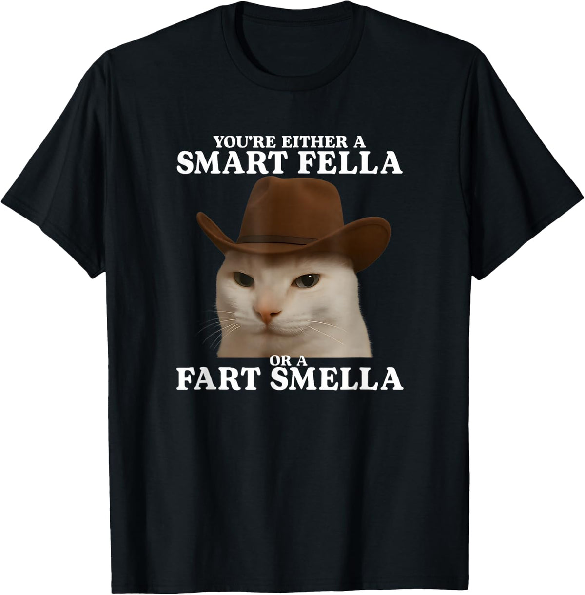 You're Either a Smart Fella or a Fart Smella Funny Cat Meme T-Shirt