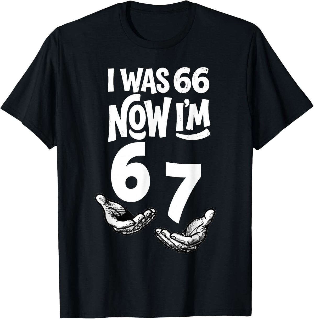 I was 66 Now I’m 67 Years Funny 67th Birthday Six Seven Bday T-Shirt