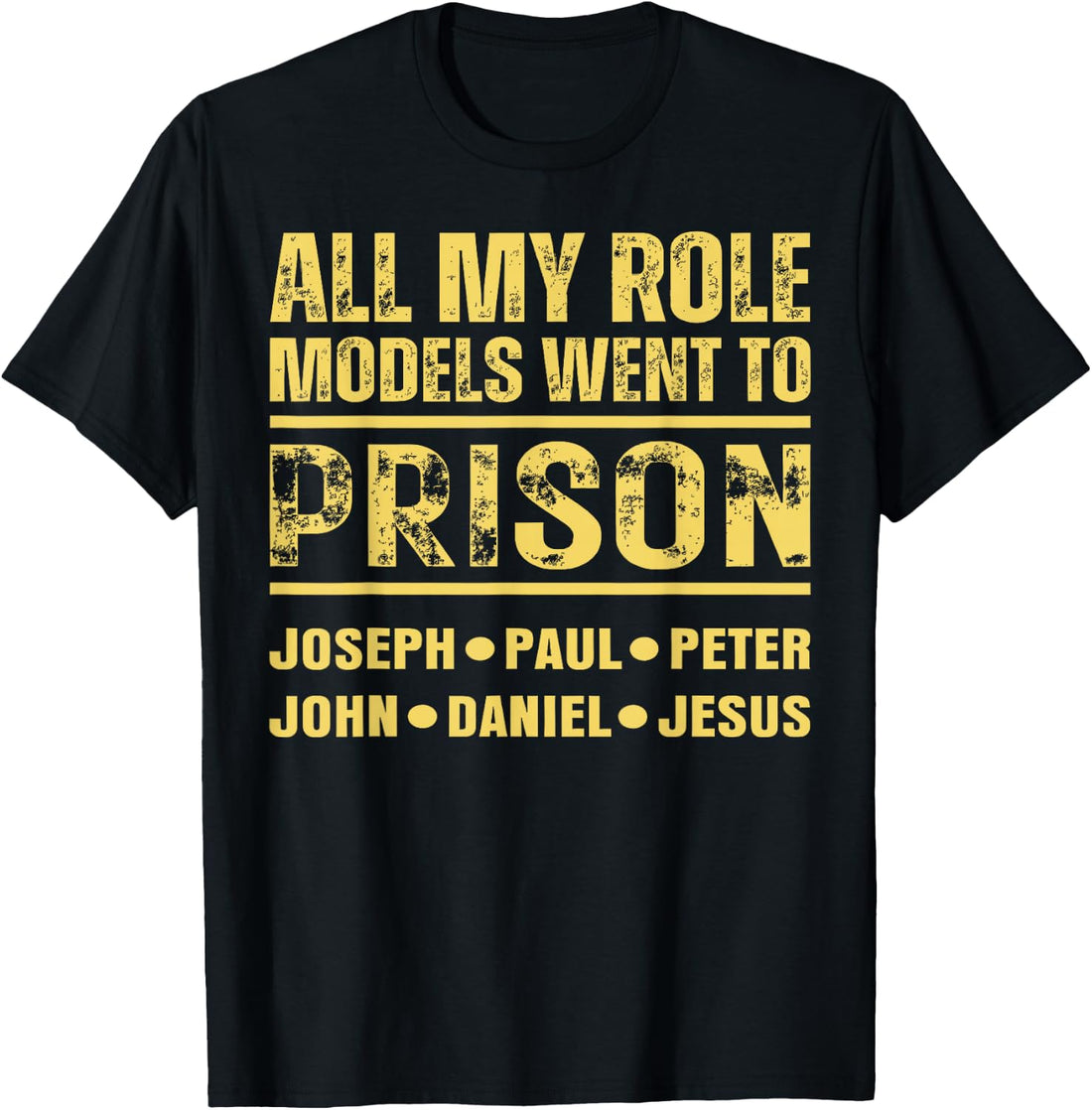 All My Role Models Went to Prison T-Shirt