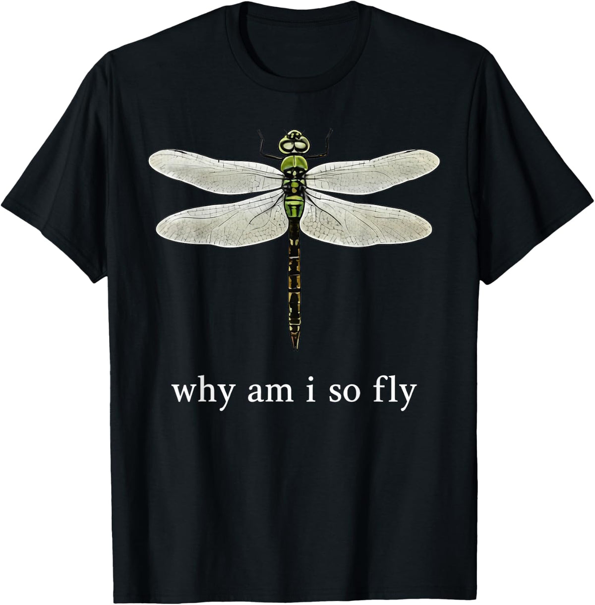 Why Am I So Fly Funny Dragonfly Pun Insect Lover T-Shirt