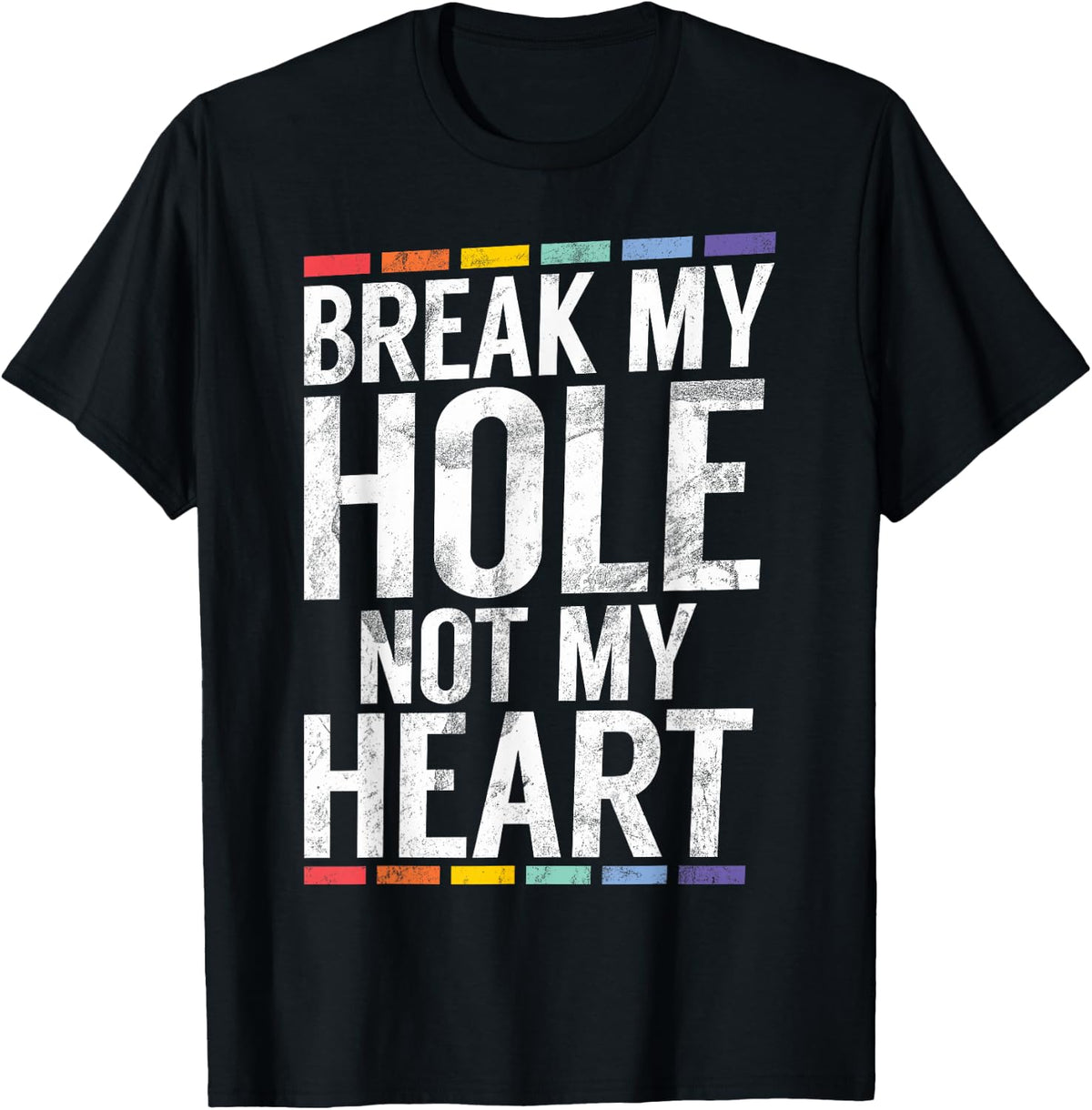 Break My Hole not My Heart Funny Gay T-Shirt