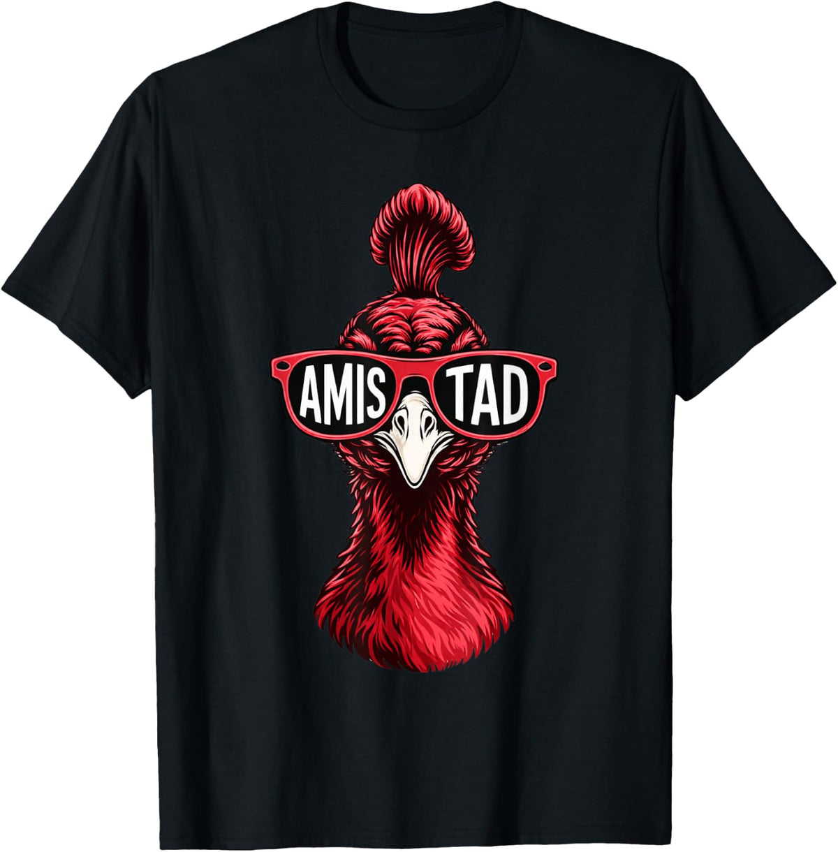 Amistad House of Friendship, School Spirit Teachers T-Shirt