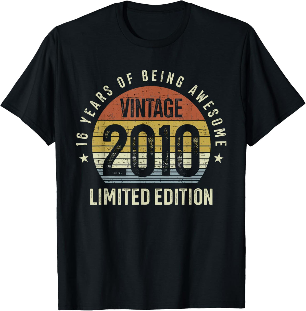 16th Birthday Vintage 2010 Limited Edition 16 Years Old T-Shirt