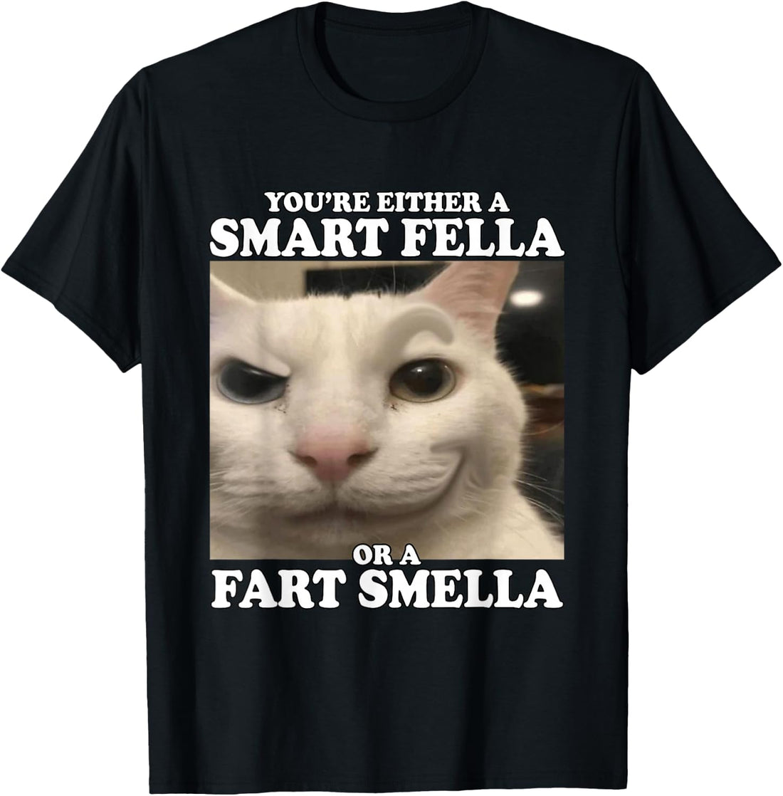 You're Either A Smart Fella Or A Fart Smella Funny Cat Meme T-Shirt