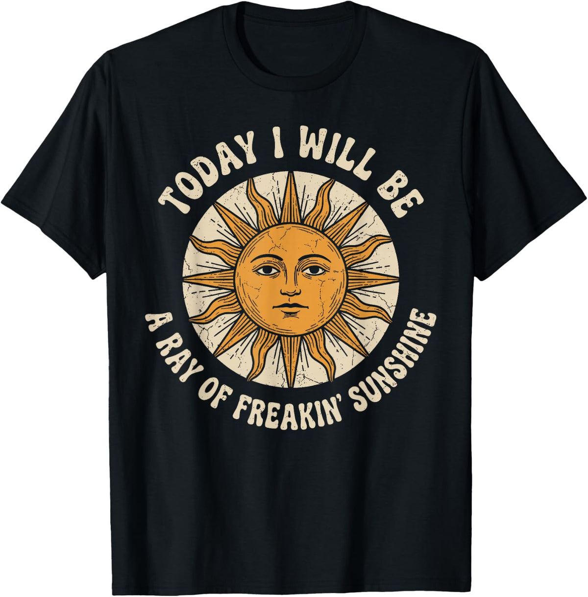 Today I Will Be A Ray of Freakin' Sunshine Sarcastic Humor T-Shirt