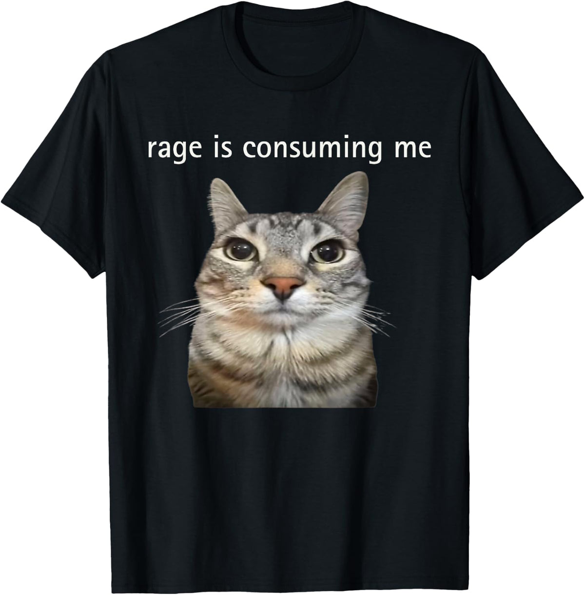 Rage is Consuming Me Silly Staring Cat Meme Dad Mom T-Shirt