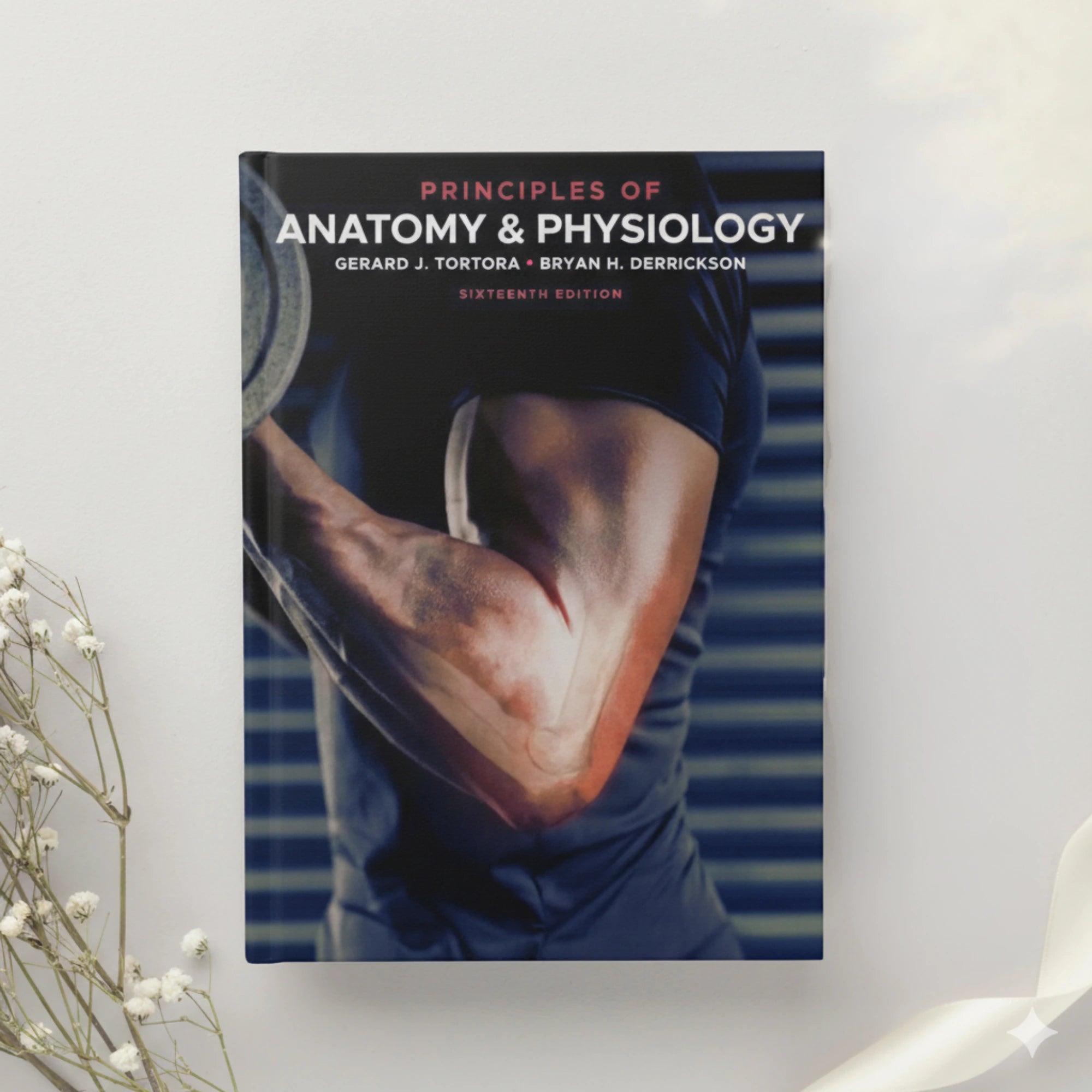 Principles of Anatomy and Physiology ??? 16th Edition